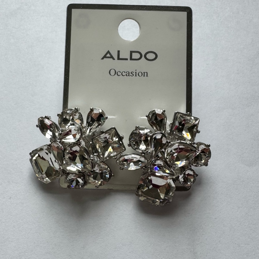Aldo Silver Floral Cluster Earrings